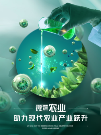 微藻农业，助力现代农业产业跃升